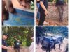 Ini Wajah Preman yang Mengaku Polisi, Teror Warga Pelalawan! Ketua KNPI Riau: "Segera Kami Laporkan"